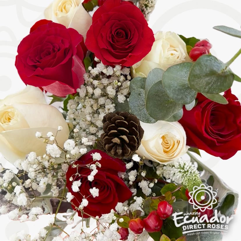 Fresh bouquet of premium red and white roses with eucalyptus and pinecones. Buy roses online for delivery. Beautiful holiday floral arrangement.