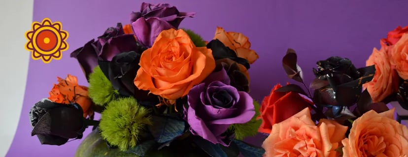 Vibrant bouquet featuring coral roses, purple roses, and black roses with green accents. Get free 20 roses with purchase of this sunset rose arrangement.