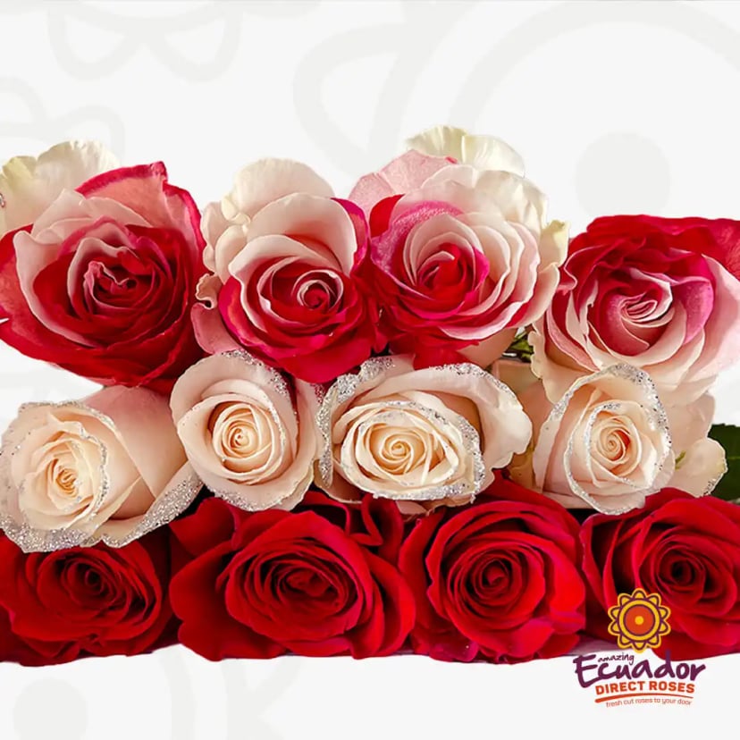 holiday-mix-bunch-2-red-white-EDR