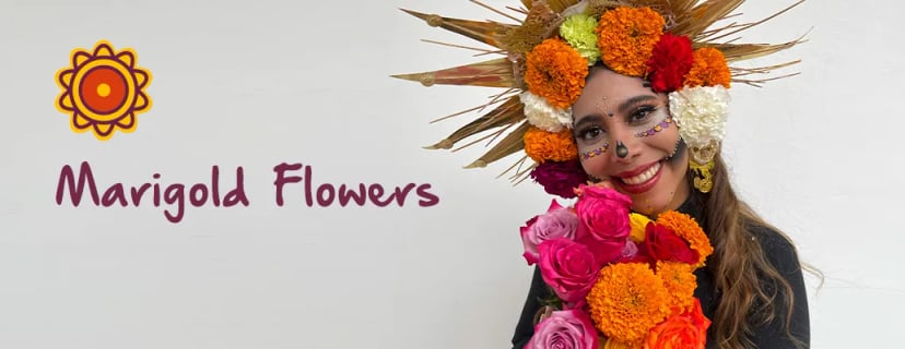 The Symbolism of the Marigold Flower