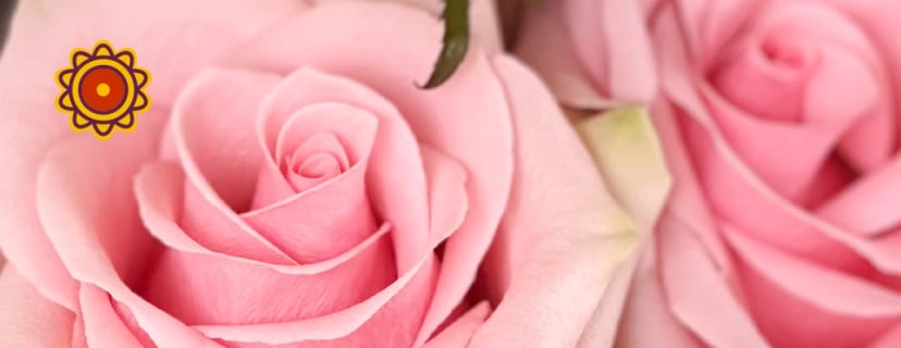 Two New Ways to Say "I Love You": Discover Absolut in Pink & Sweet Memory