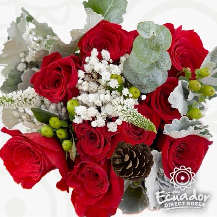 Red rose arrangement ideas from our Ecuadorian roses supplier featuring lavender roses bouquet, light pink english roses, and dozen roses country song style.