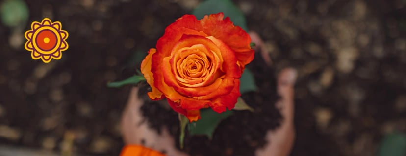 The Story is More than Selling Flowers