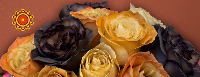 Creating Cozy Fall Ambiance with Ecuador Direct Roses