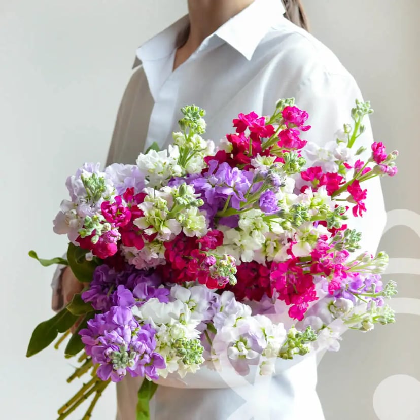 Stock Flowers
