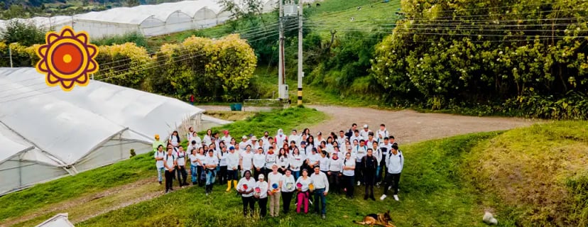 How Ecuador Direct Roses Farm prepares for Valentine's season?