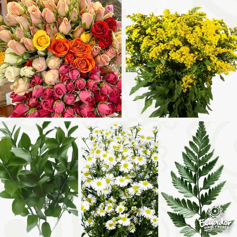 Image of individual bunches from the Asland Mix Box Fresh Cut Flowers by EDR, including multi-colored roses, yellow solidago, white daisies, and green ruscus, harvested for freshness.