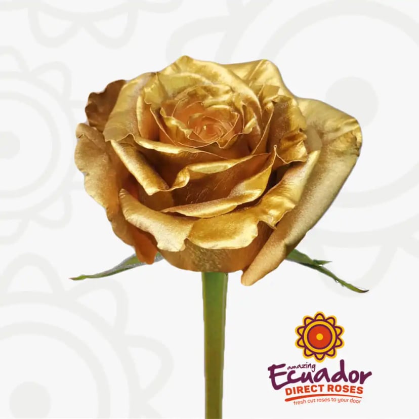 metallic-sunray-tinted-rose-bright-gold-color-EDR-1