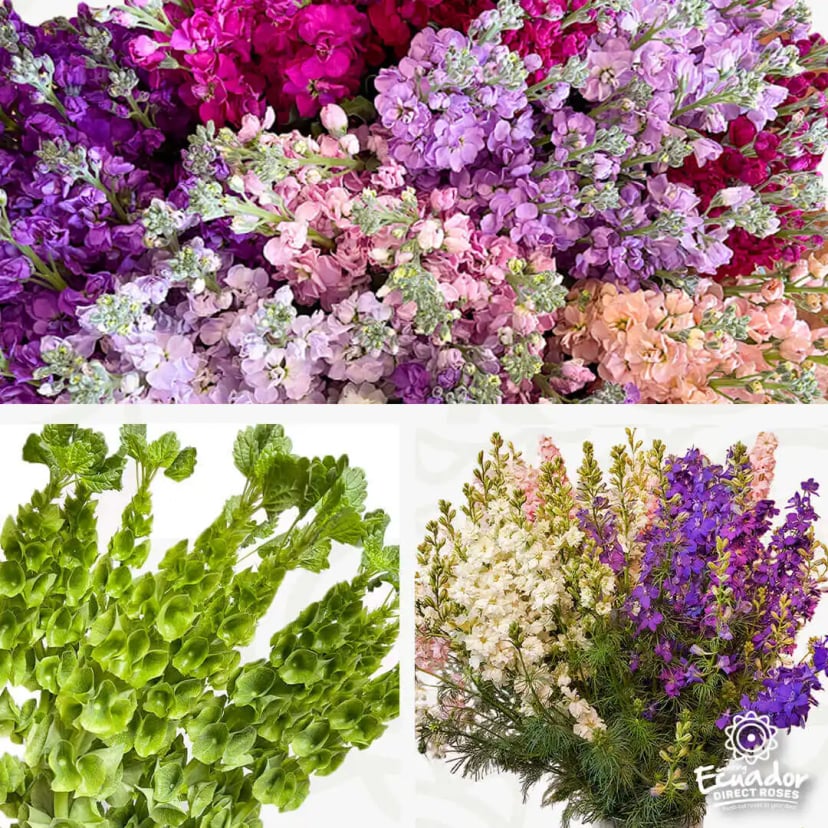 Display of vibrant purple, pink, white, green, and peach Snapdragons, Stock, Bells of Ireland, and Larkspur from Ecuador Direct Flowers.