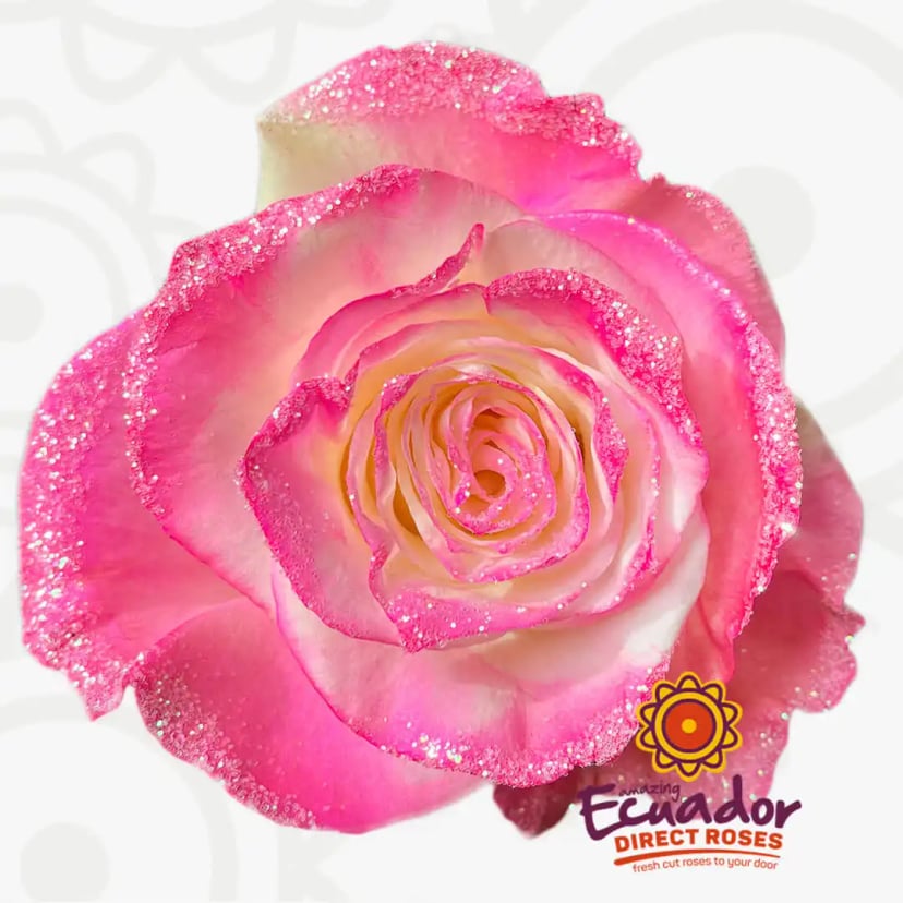bubblegum-glitter-tinted-rose-pink-color-EDR-1