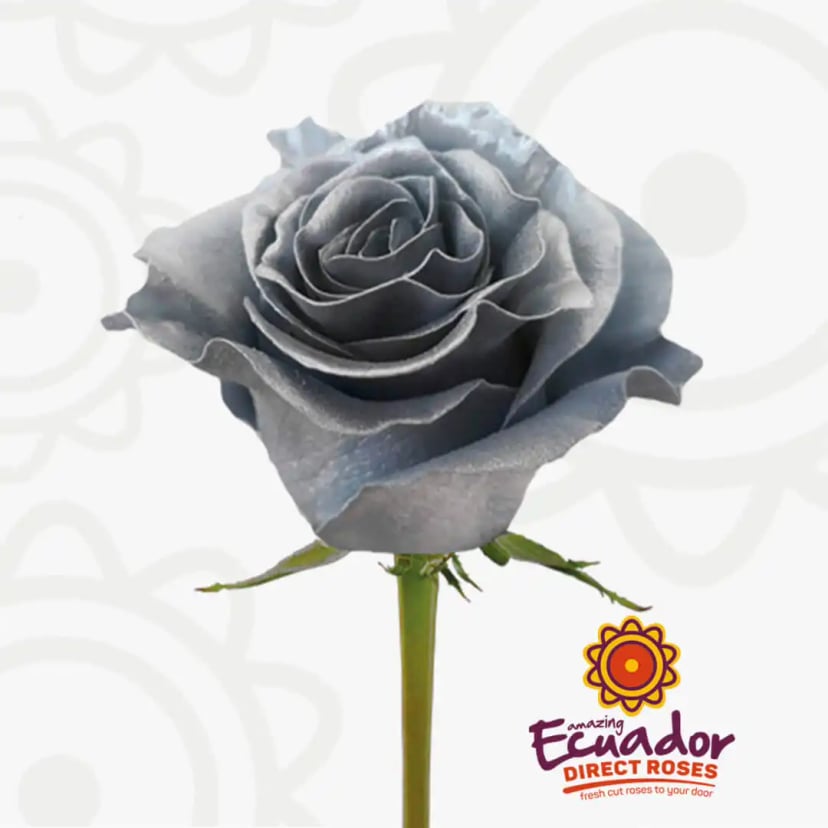 metallic-silver-tinted-rose-silver-color-EDR-1