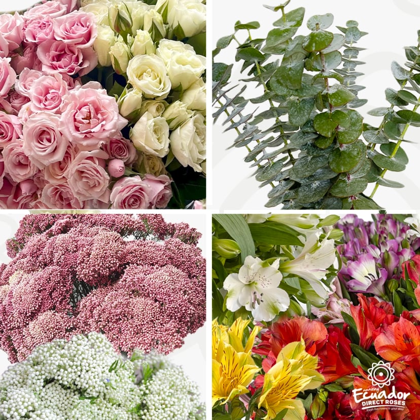sweet-love-mix-box-abr2026