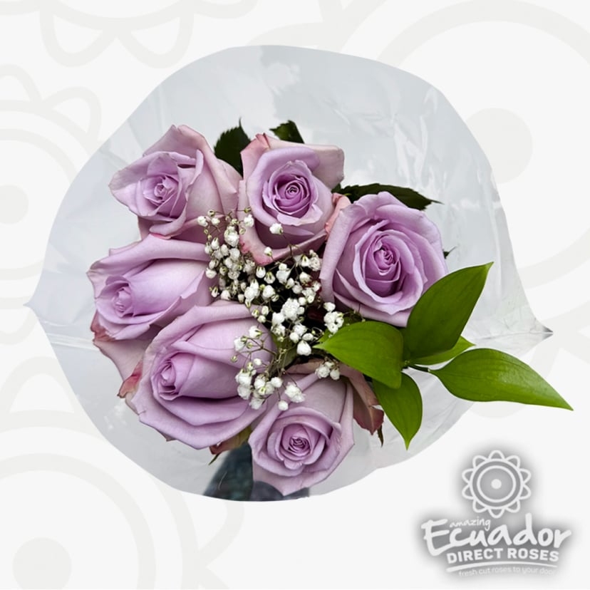 Lavender Ecuadorian roses 90s style rose bouquet 300 stems featuring long stem roses, pink and cream roses tones, baby's breath, and green leaves.