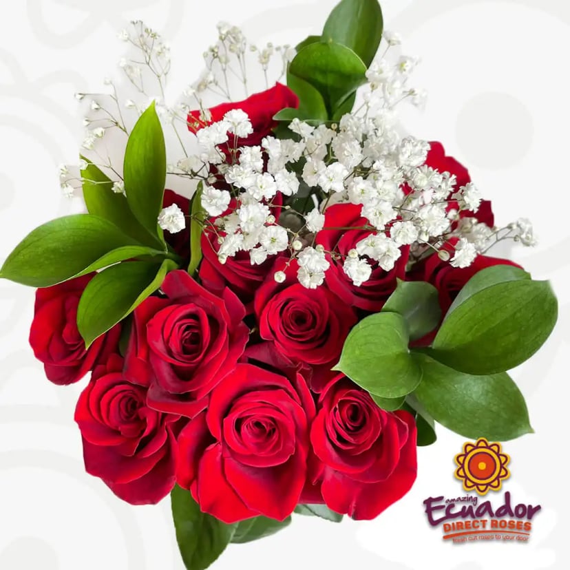 A bouquet of Dozen bouquet red roses white babys breath ruscus greenery, arranged vertically in full bloom, showcasing our farm-direct shipping and commitment to sustainability