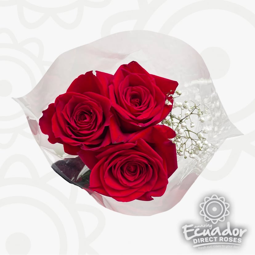 Three premium Ecuadorian red roses wrapped with baby's breath for Mother's Day, fresh cut flowers online, ideal as roses delivery gift for her.
