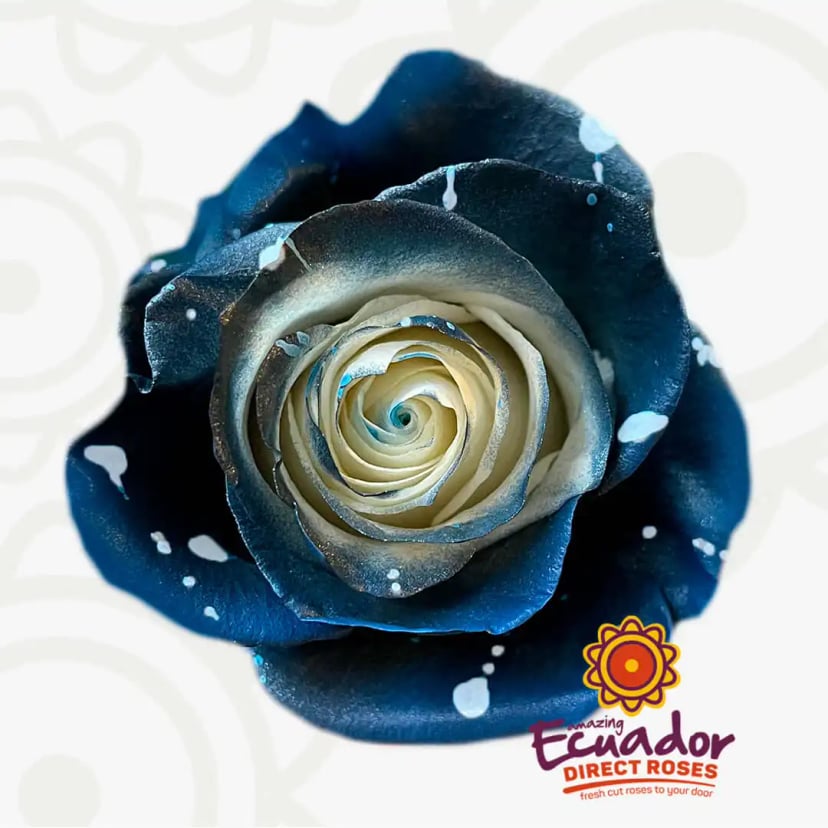 galaxy-tinted-rose-blue-color-EDR-1