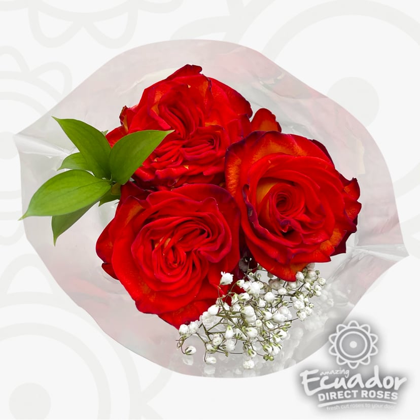 Premium rose collection features red and violet yellow roses in a gift wrap, styled like a rose bouquet purse or roses in box, meaning true love.