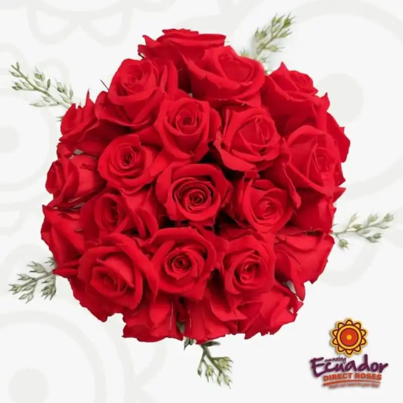 24pack-preserved-rose-box-EDR