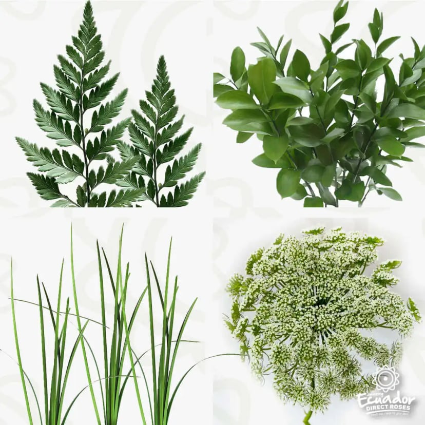 Display of Greenland mix box greenery including ferns, leafy stems, grass blades, and white filler flowers from EDR
