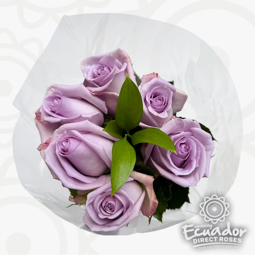 Lavender Ecuadorian rose bouquet, a perfect gift to rose box ship. These beautiful flowers share light pink roses meaning in relationship and love.
