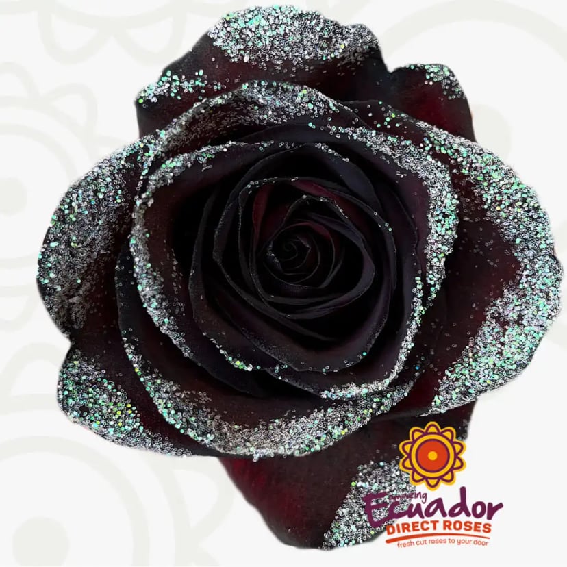 onyx-litmus-glitter-tinted-rose-black-color-EDR-1