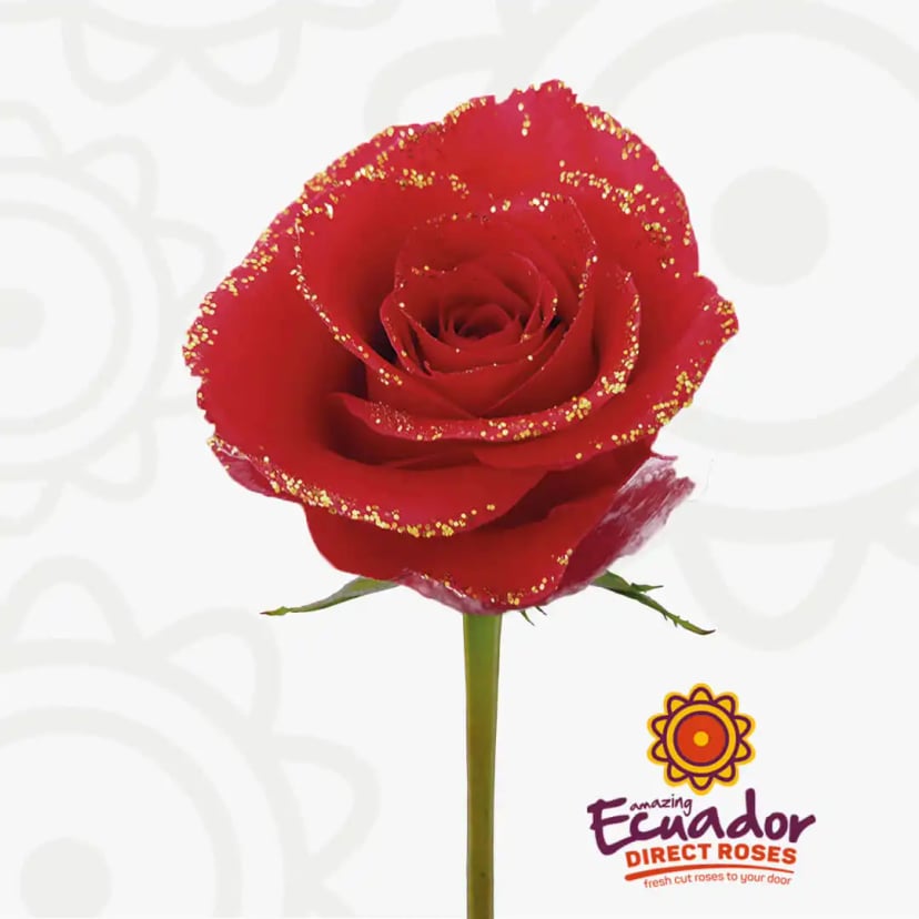 red-gold-illusion-tinted-rose-red-color-EDR-1