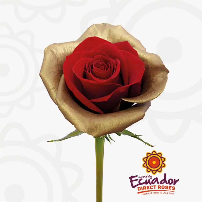 flaming-gold-tinted-rose-red-gold-metallic-color-EDR-1