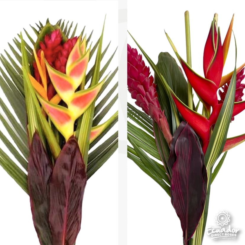 Tropical bouquet with red ginger, heliconia, and palm leaves. Wholesale rose distributors provide these fresh roses for cut flowers as preserved alternatives.