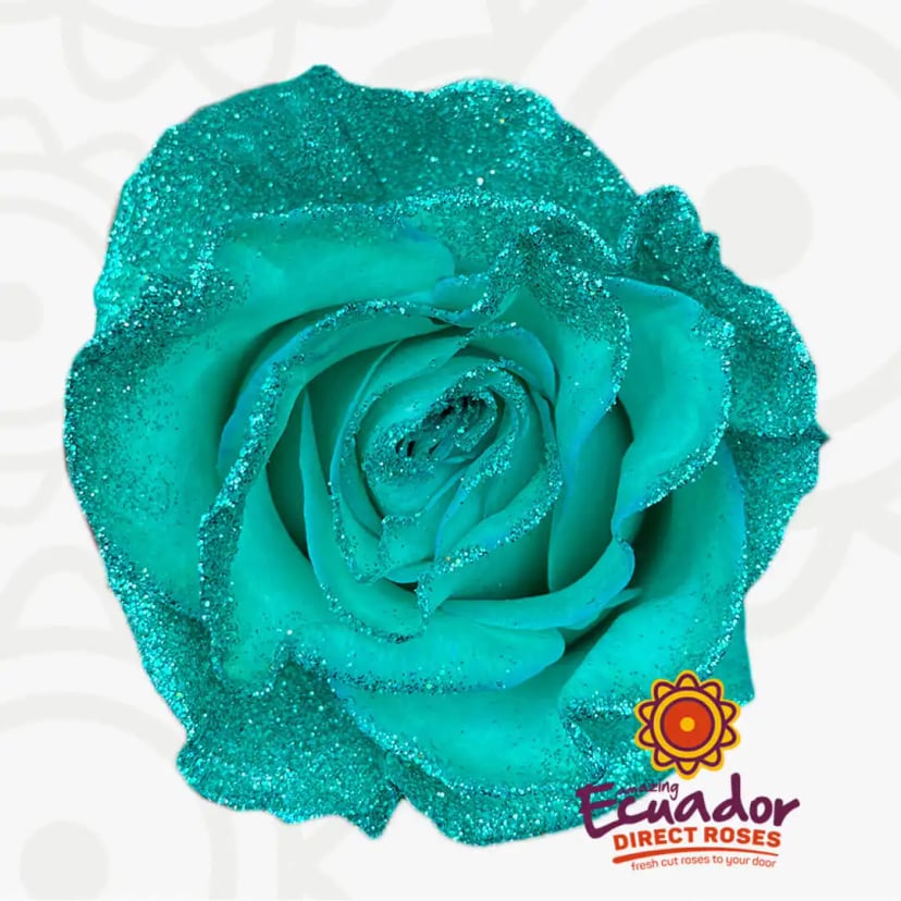 rock-it-out-tinted-rose-turquoise-glitter-color-EDR-1