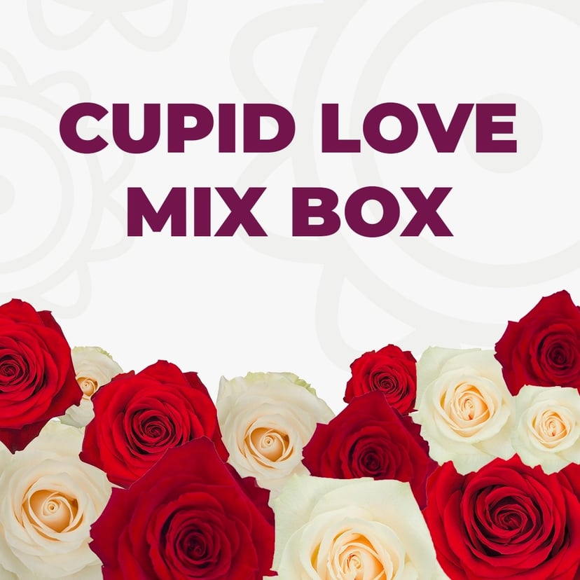 Cupid Love Mix Box luxury roses delivery online featuring red, blush pink roses, lavender roses, apricot rose paint color, powder blue.