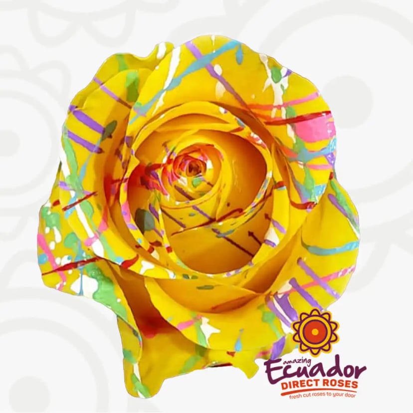 palette-splash-tinted-rose-color-EDR-1