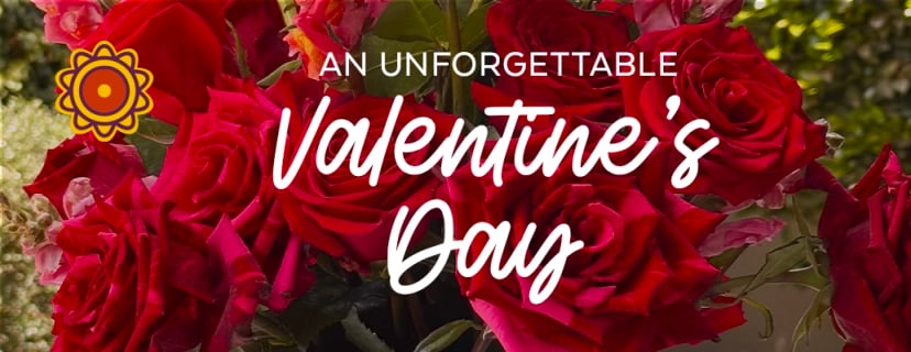 Bouquet of farm fresh flowers nearby features fresh cut roses 90s, fresh cut roses kim, purple roses iatom, and wholesale roses metalcore styles.