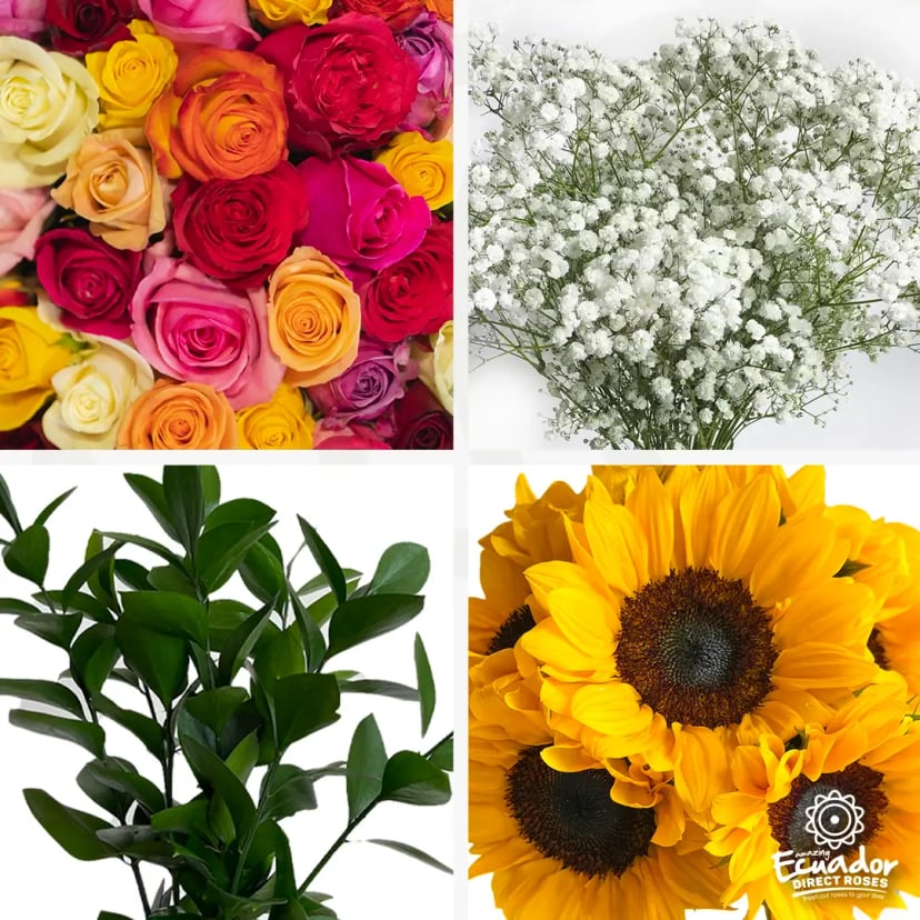 Multi-colored Ecuadorian roses and tulips bouquet, wholesale roses 3d, send flowers for mother's day USA, vampire's fall 2 flowers for mom, roses for mom.