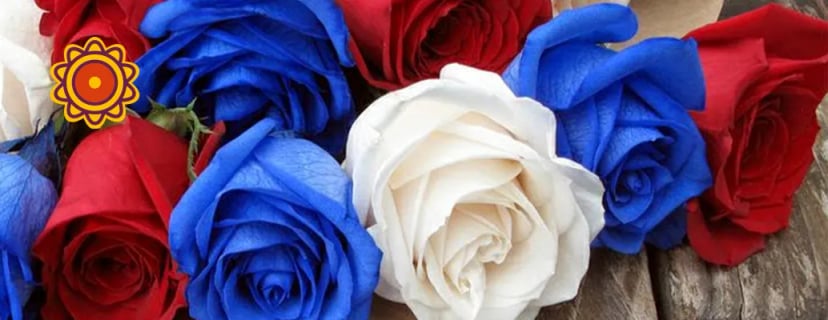 Bouquet of premium Ecuadorian roses featuring patriotic red, white, and blue blooms, pastel rose heart arrangement, peach romantica, blush pink roses.