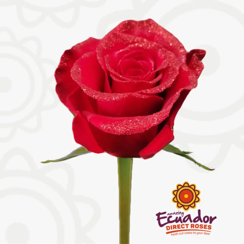 red-glitter-illusion-tinted-rose-EDR-1