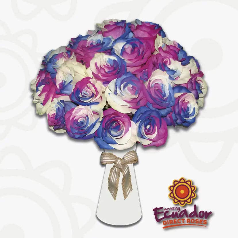 A captivating bouquet of Ecuador Direct Flowers Rose with a mix of pink, blue, and white tinted love colorful, each stem carefully selected for its exceptional color and texture.