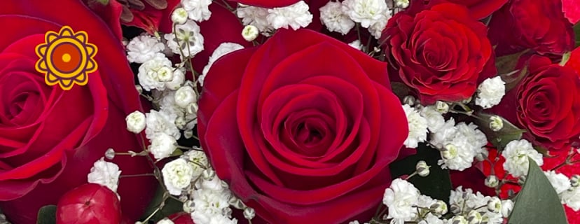Deep red roses with white baby's breath, perfect for Mother's Day. Shop roses store online to find apricot roses, apricot essence, Lancome peach.
