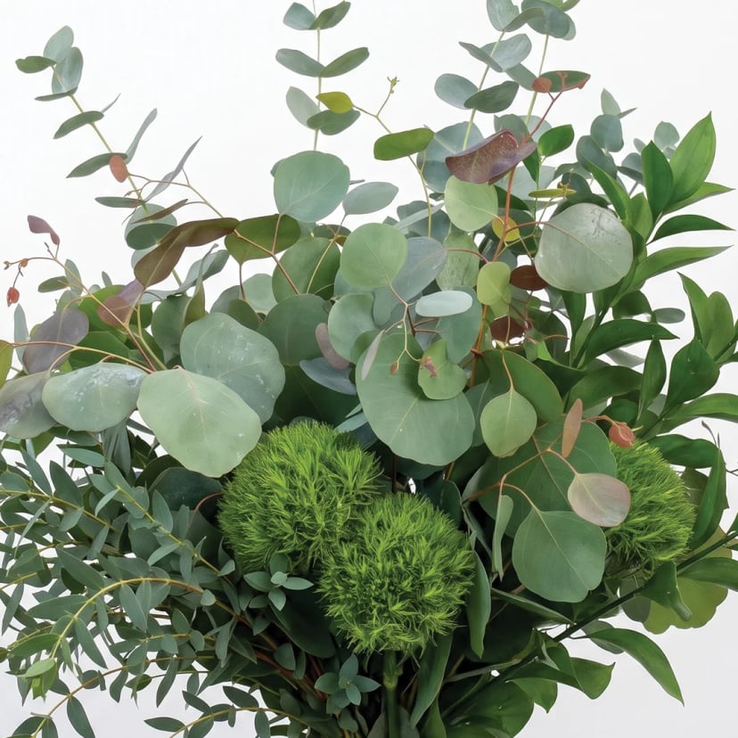 bliss-eucalyptus-mix-box-styled