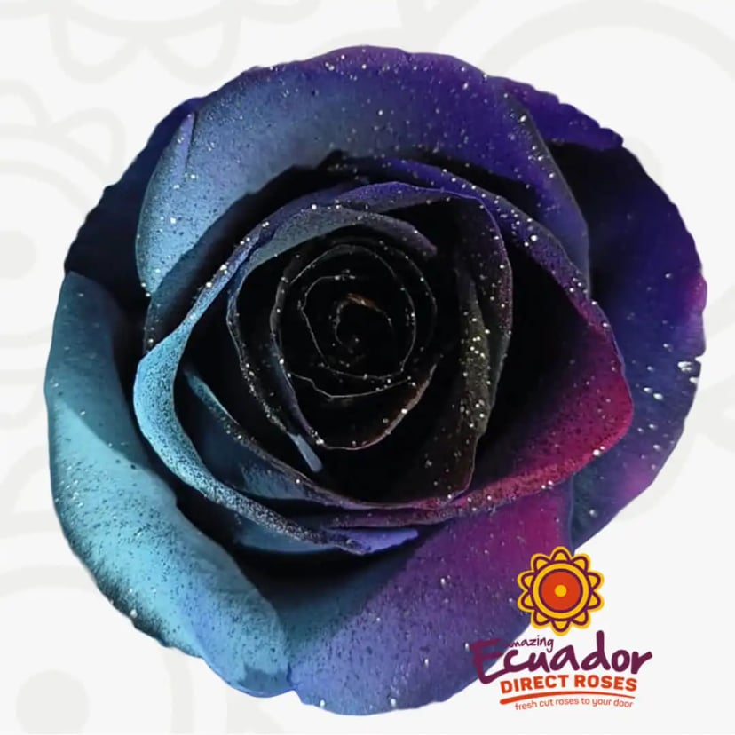 eternal-moon-glitter-tinted-rose-blue-black-purple-color-EDR-1