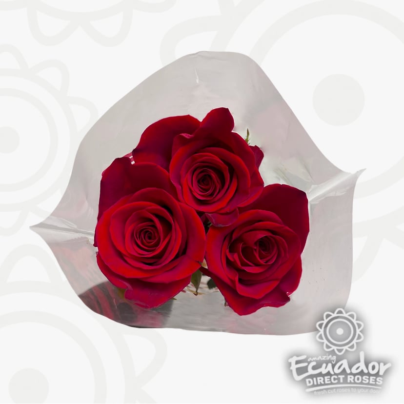 Three fresh Ecuadorian roses direct in a red rose mothers day flower bouquet. Perfect mother's day flowers for delivery from Ecuador Direct Flowers.