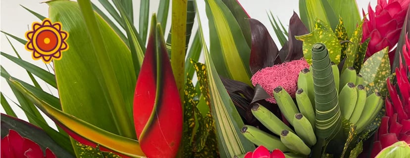 Tropical flower arrangement featuring red heliconia, green bananas, and foliage. Perfect rose mothers day gift alongside roses are red poems inspiration.