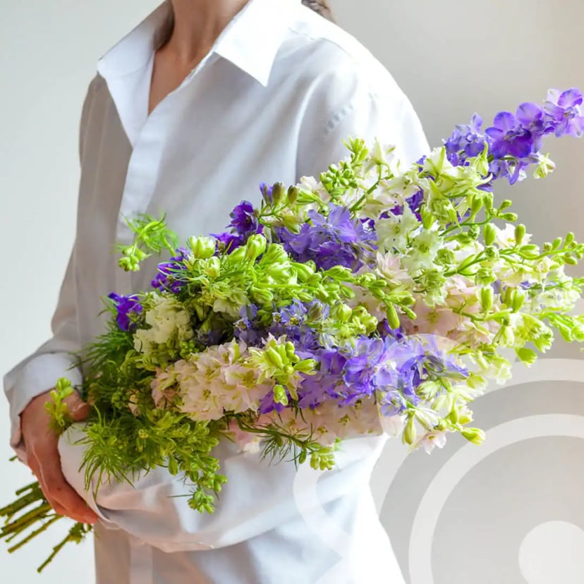 Larkspur