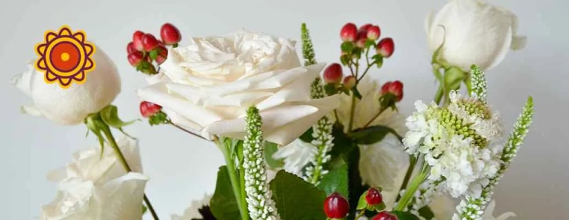Bouquet of white roses, red berries, and greenery. Coral rose home depot, mauve roses the voice, sunset horizon rose near me, blush pink roses.
