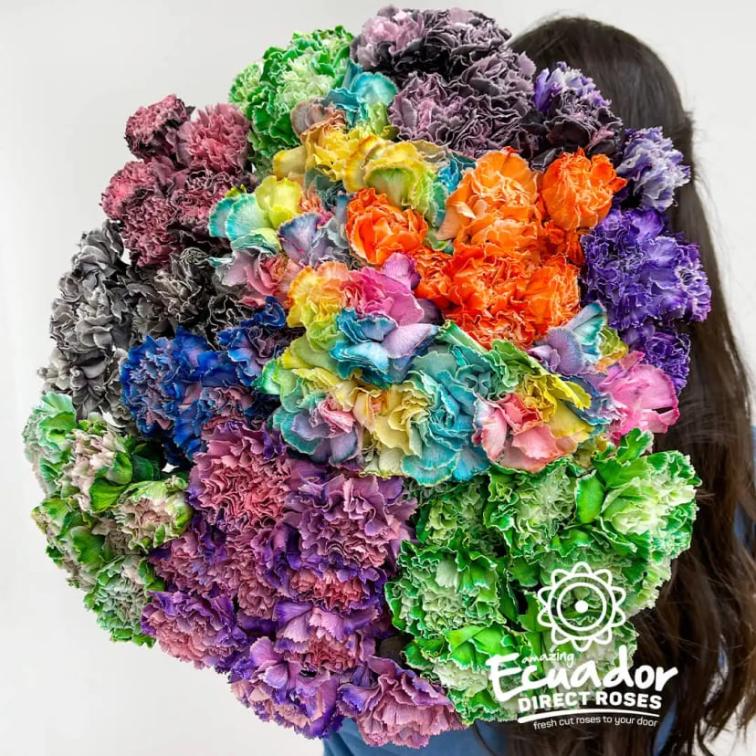 Vibrant display of Carnation Tinted Flowers, hand picked for freshness by Ecuador Direct Flowers.