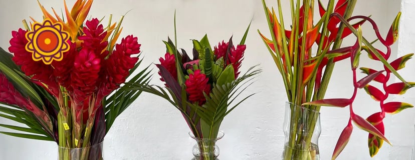 Exotic red ginger flowers and orange heliconia arrangements, perfect alternatives to peach rose fabric, pastel white rose, or roses on mother's day.