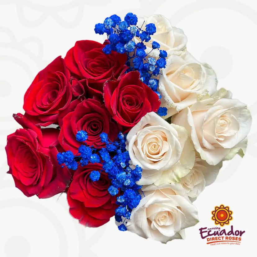 Dozen bouquet red roses tinted blue babys breath white roses, a premium selection from Ecuador Direct Flowers, perfect for any occasion