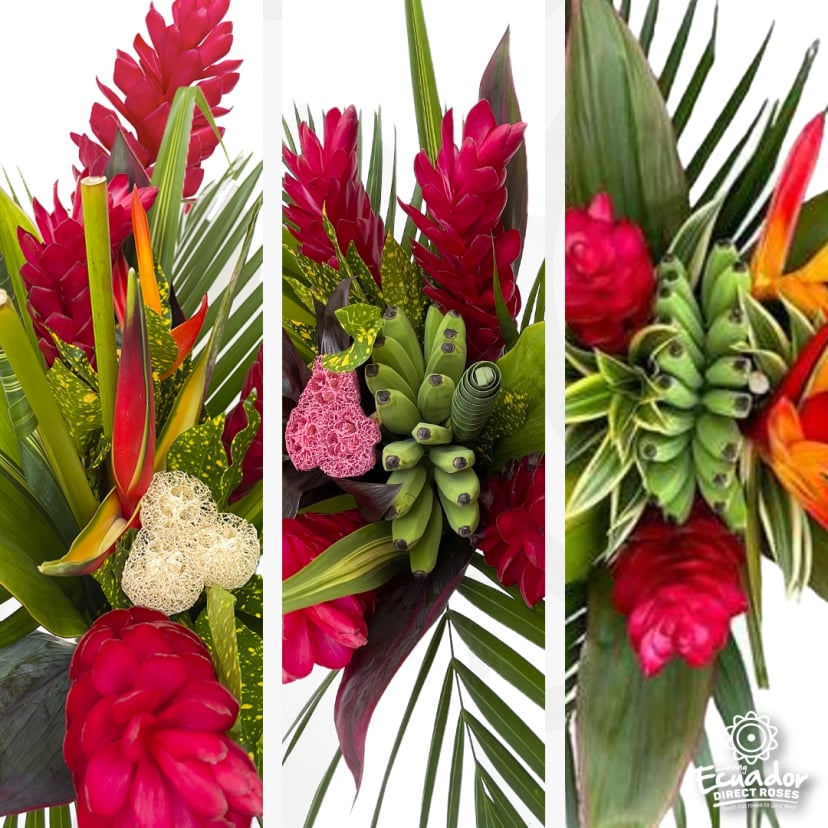 Tropical floral arrangement with red ginger, bananas, and bird of paradise. Perfect alternative to roses are red for mother's day.