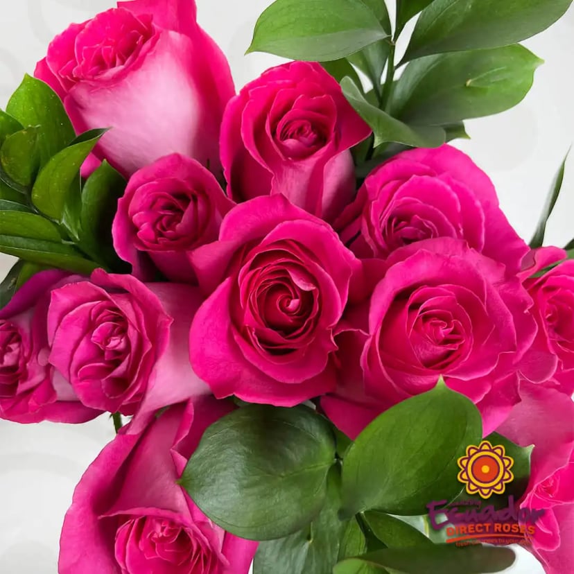 HOT PINK