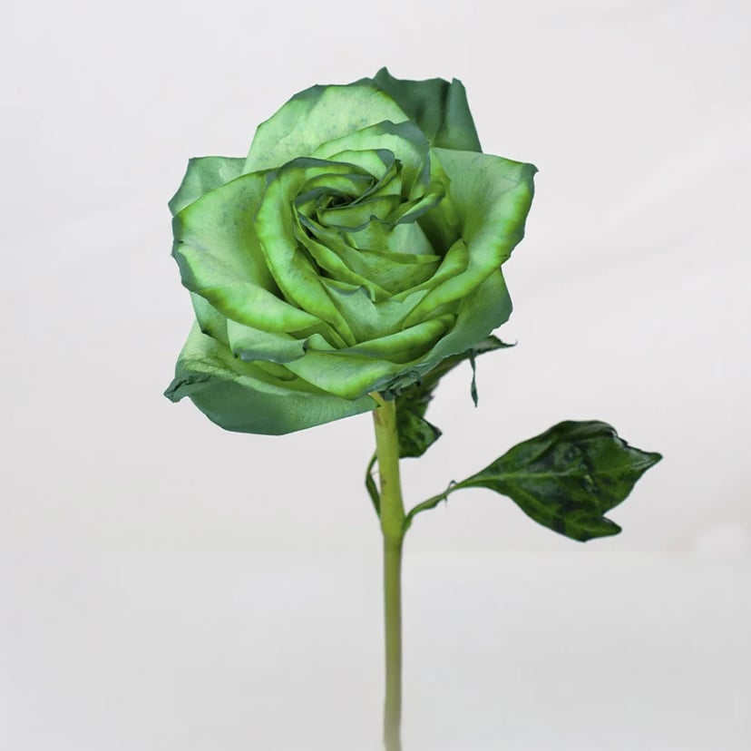 emeral-beauty-rose-side