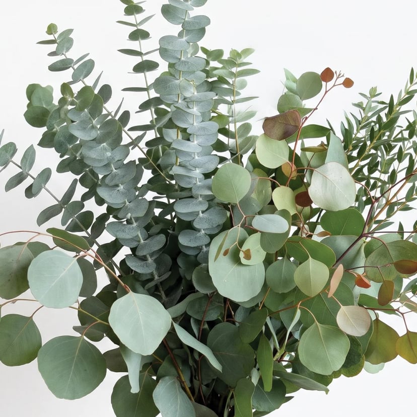 eucalyptus-mix-box-styled